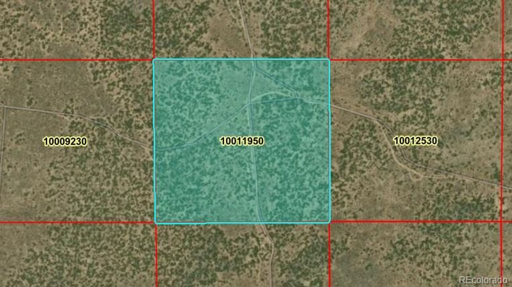 40 Acres N Canyon Drive, San Luis, CO 81152
