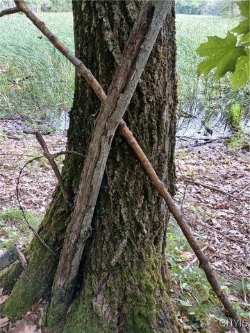 43206 Murray, Clayton, NY 13624