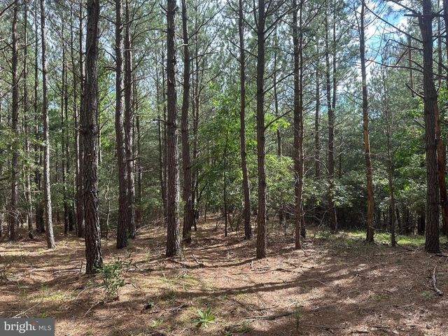 22.29 AC NORTH TEXAS RD, Delray, WV 26714