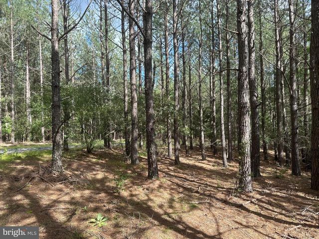 22.29 AC NORTH TEXAS RD, Delray, WV 26714