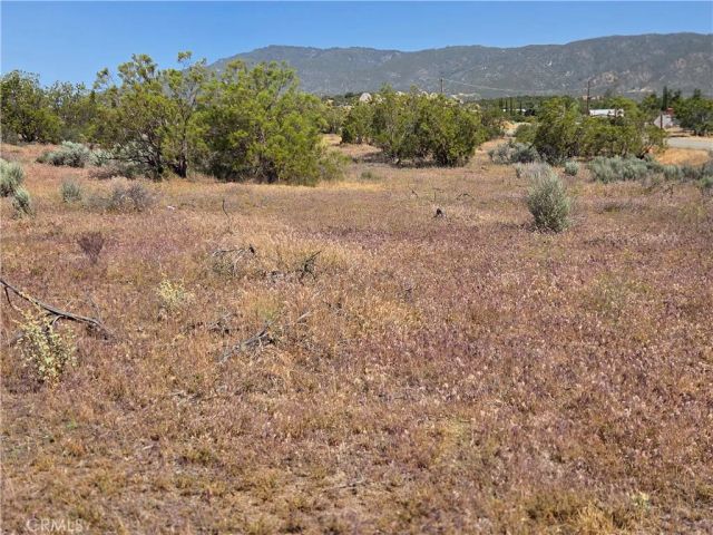 56941 Cain, Anza, CA 92539