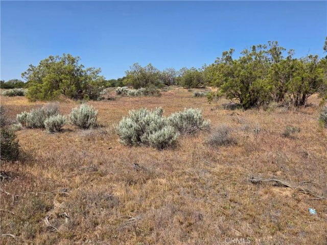 56941 Cain, Anza, CA 92539