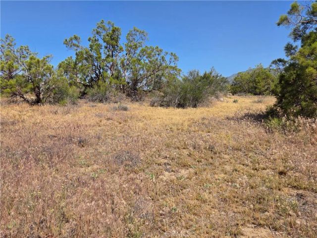 56941 Cain, Anza, CA 92539