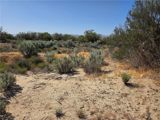 56941 Cain, Anza, CA 92539