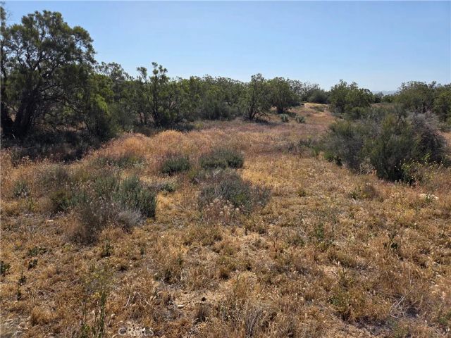 56941 Cain, Anza, CA 92539