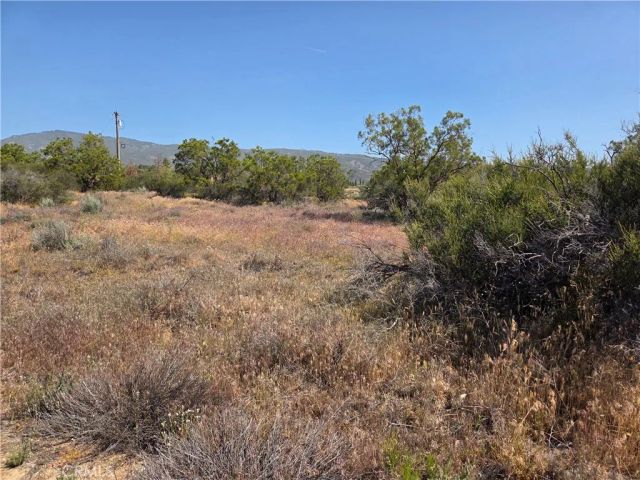 56941 Cain, Anza, CA 92539