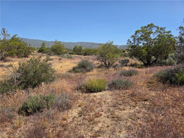 56941 Cain, Anza, CA 92539