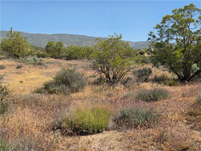 56941 Cain, Anza, CA 92539