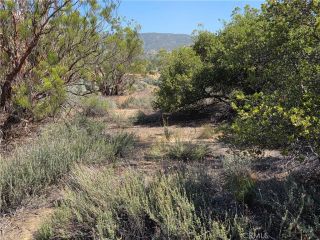 56941 Cain, Anza, CA 92539