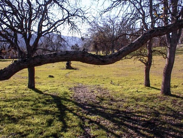 39950 Millwood Road, Dunlap, CA 93621