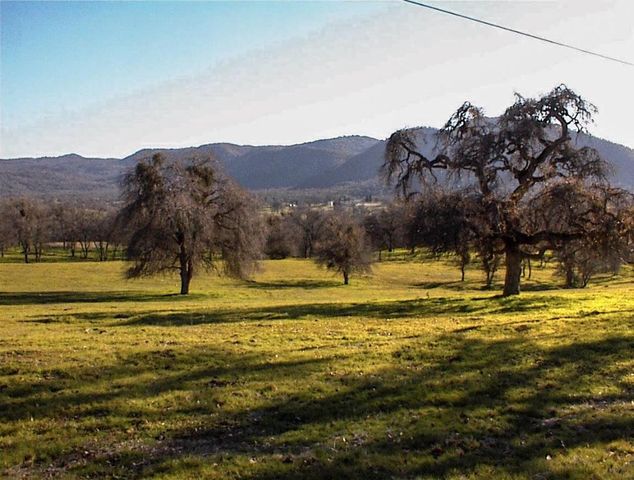 39950 Millwood Road, Dunlap, CA 93621