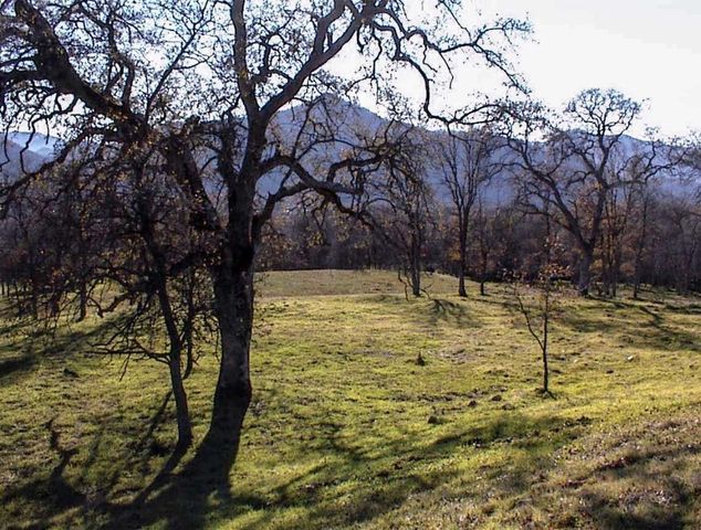 39950 Millwood Road, Dunlap, CA 93621