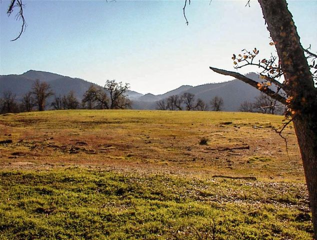 39950 Millwood Road, Dunlap, CA 93621
