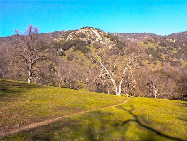 39950 Millwood Road, Dunlap, CA 93621