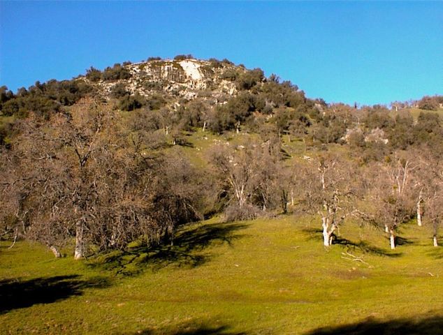 39950 Millwood Road, Dunlap, CA 93621