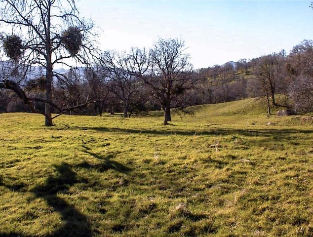 39950 Millwood Road, Dunlap, CA 93621