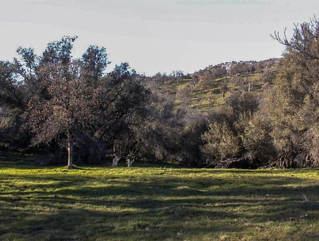 39950 Millwood Road, Dunlap, CA 93621