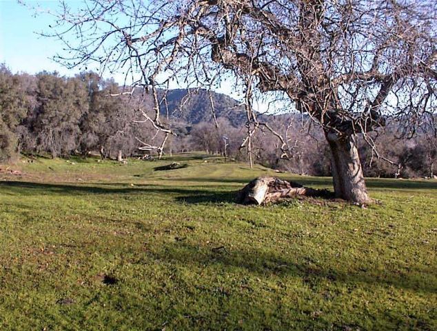 39950 Millwood Road, Dunlap, CA 93621