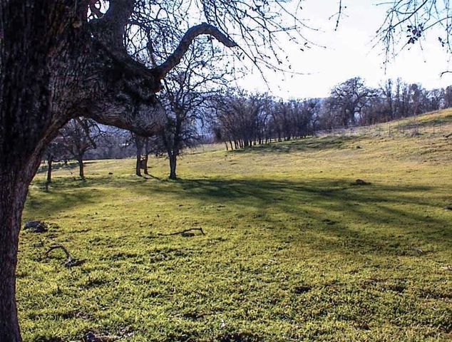 39950 Millwood Road, Dunlap, CA 93621