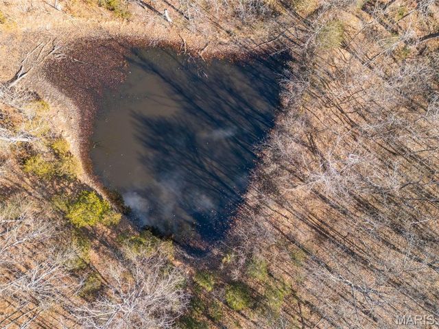 4453 Drury Rd, Bloomsdale, MO 63627