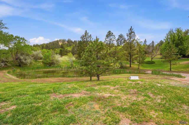 20208 FROG POND CT, Whitewood, SD 57793