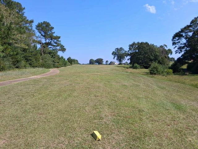 45 Ladner Dr., Lumberton, MS 39455