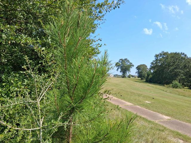 45 Ladner Dr., Lumberton, MS 39455