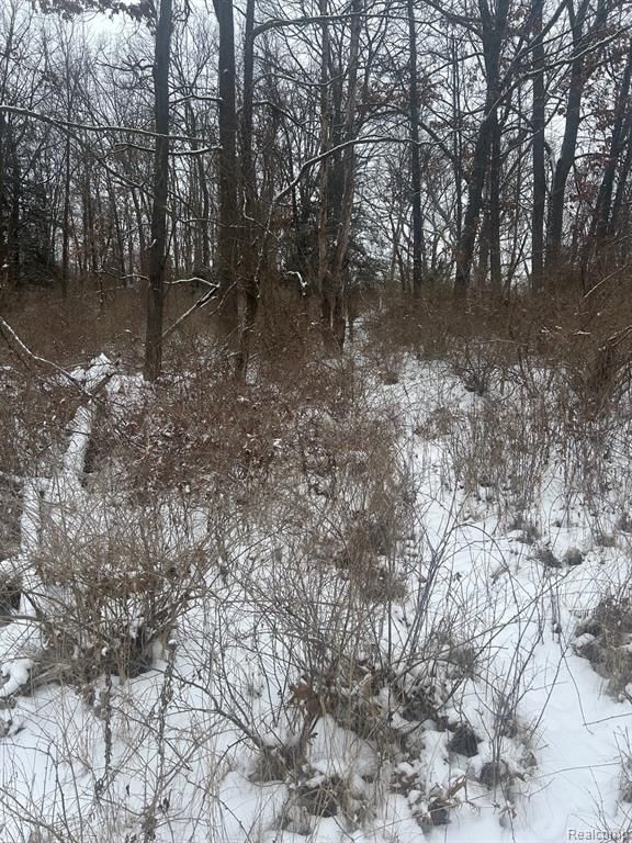 12840 Larkins Road, Brighton, MI 48114