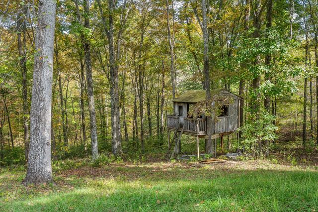 7871 Oscar Green Rd, Primm Springs, TN 38476