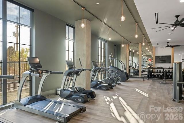 536 W Tremont Avenue A3, Charlotte, NC 28203