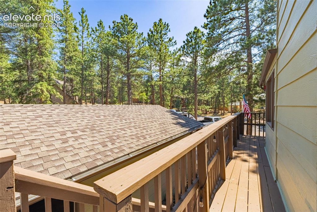 917 Centre Camino NA, Woodland Park, CO 80863 — photo 4