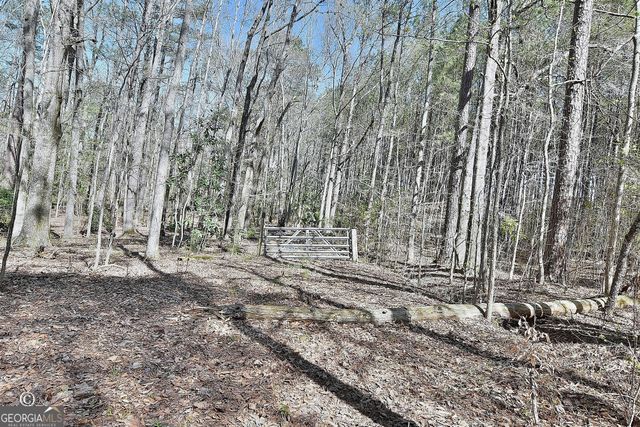 1166 B Street, Pine Mountain Valley, GA 31823