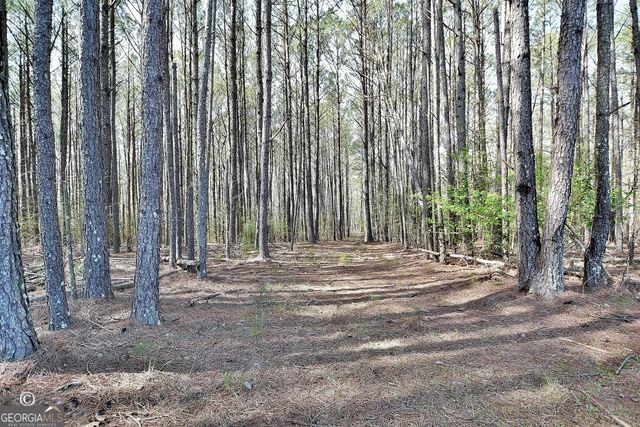 1166 B Street, Pine Mountain Valley, GA 31823