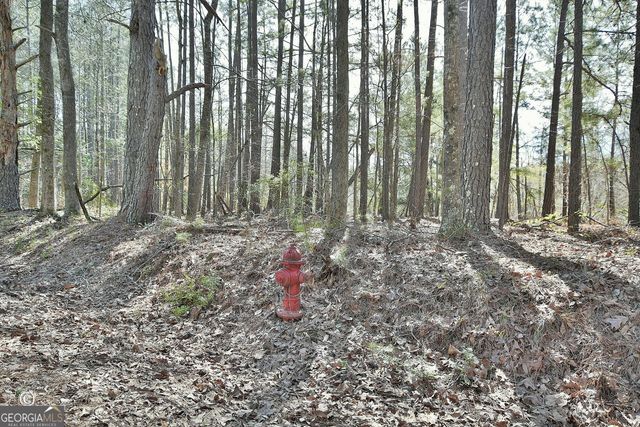 1166 B Street, Pine Mountain Valley, GA 31823