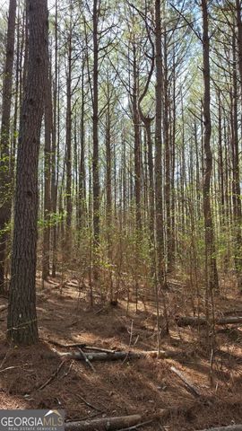 1166 B Street, Pine Mountain Valley, GA 31823