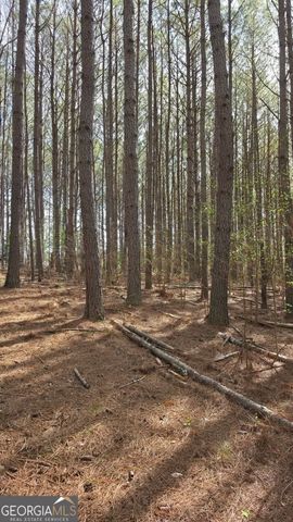 1166 B Street, Pine Mountain Valley, GA 31823