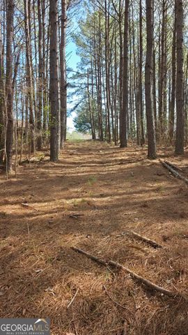 1166 B Street, Pine Mountain Valley, GA 31823