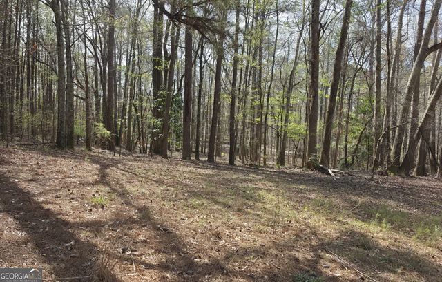 1166 B Street, Pine Mountain Valley, GA 31823