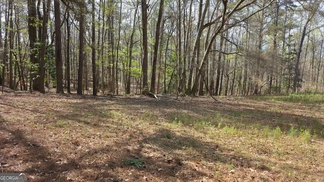 1166 B Street, Pine Mountain Valley, GA 31823