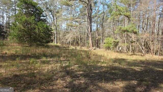 1166 B Street, Pine Mountain Valley, GA 31823