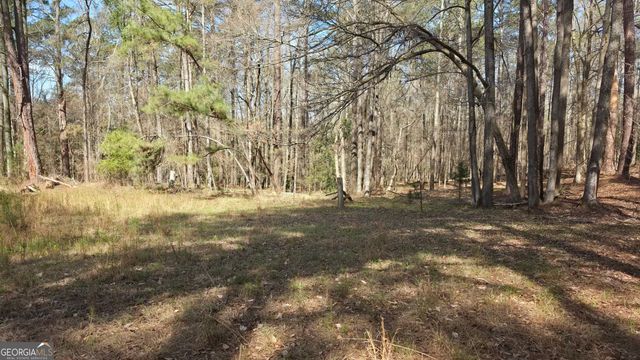 1166 B Street, Pine Mountain Valley, GA 31823