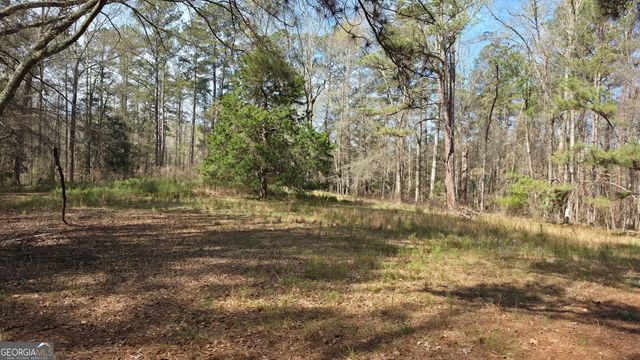 1166 B Street, Pine Mountain Valley, GA 31823