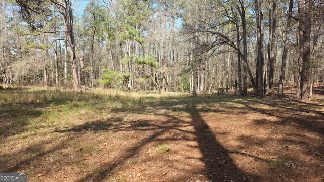 1166 B Street, Pine Mountain Valley, GA 31823