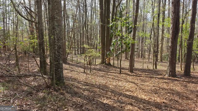 1166 B Street, Pine Mountain Valley, GA 31823