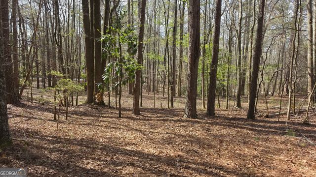 1166 B Street, Pine Mountain Valley, GA 31823