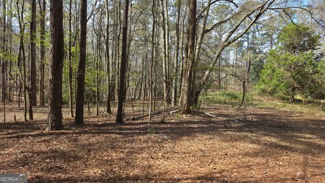 1166 B Street, Pine Mountain Valley, GA 31823