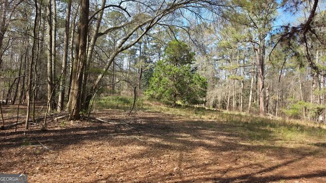 1166 B Street, Pine Mountain Valley, GA 31823