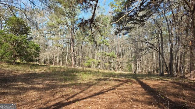 1166 B Street, Pine Mountain Valley, GA 31823