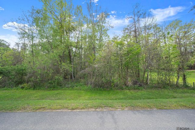 13216 Bayou Terrace Dr, St Amant, LA 70774