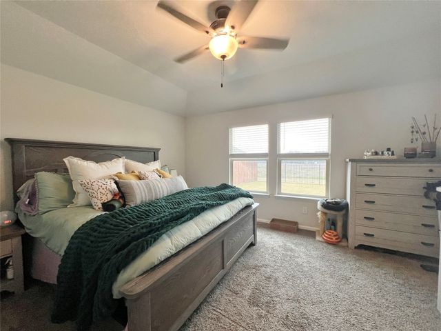 1125 Loomis Trail, Justin, TX 76247